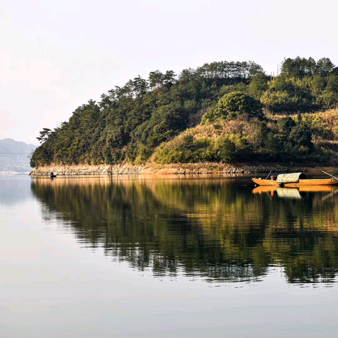 青山一点翠