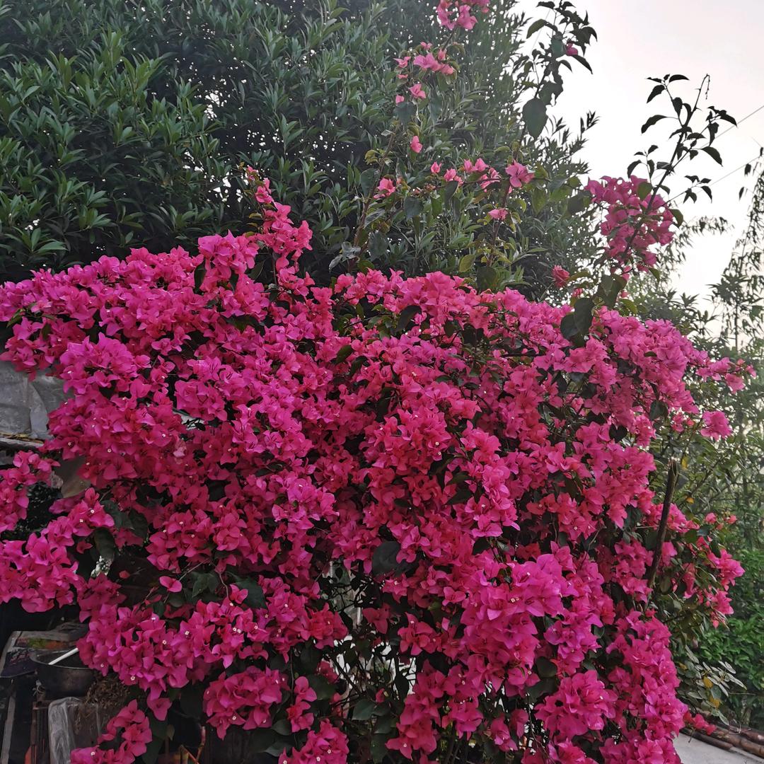 余生好好爱自己