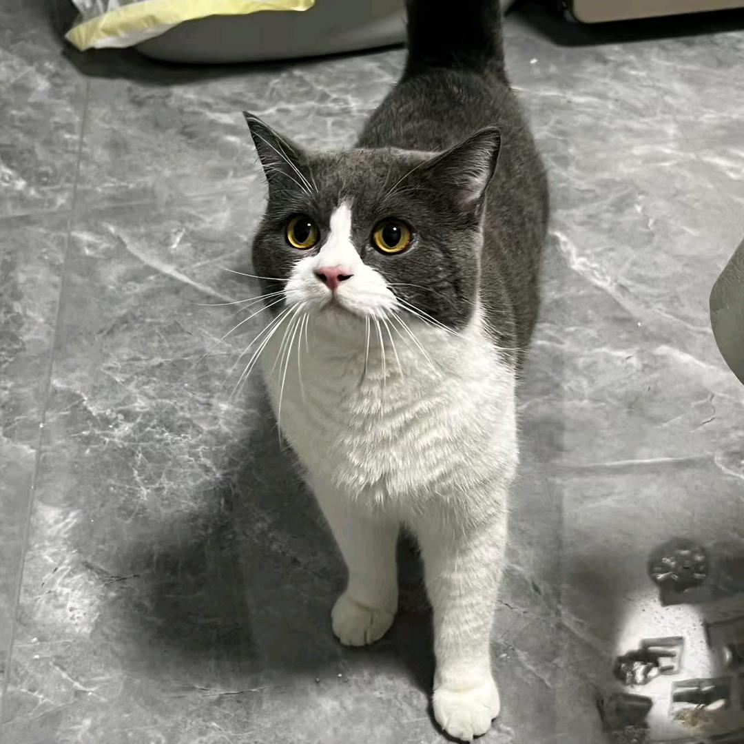 澈汉一家子(内娱版)