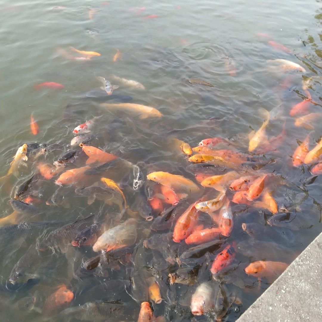 一来阳光