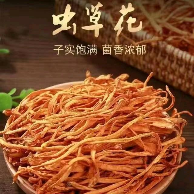 金康虫草花合作社瓶子