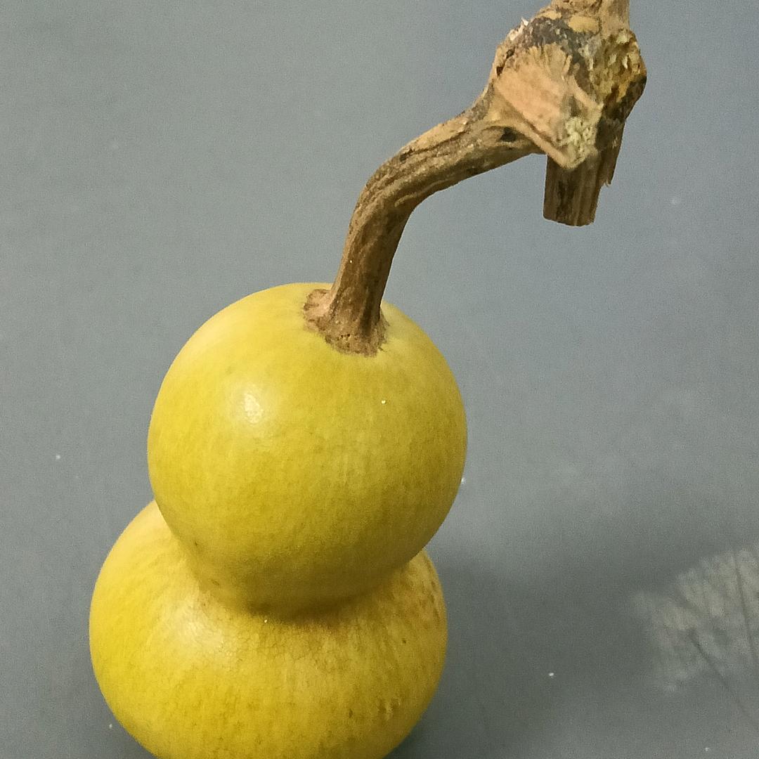 🕊ᰔᩚ᭄꯭唯杜🌹⃟宠马ꦿ᪲࿐