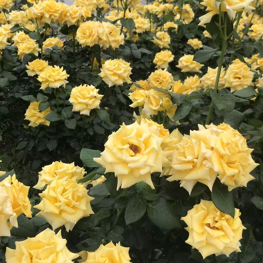 ༼྅༽欣ཽ༆༂赏ཽ༩༃人༈༊༆༽