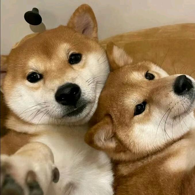 晓晨