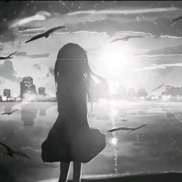 柒柒