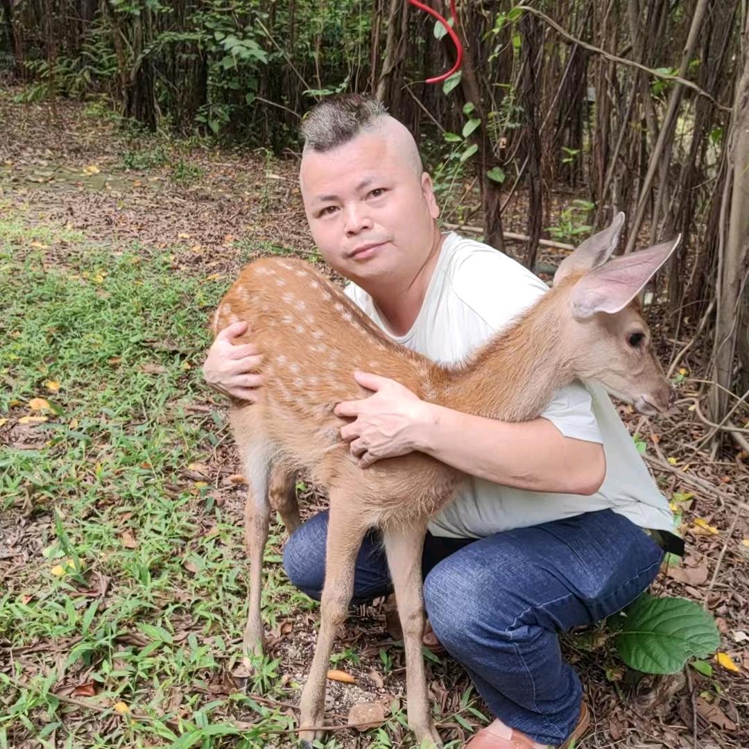 努力挣钱