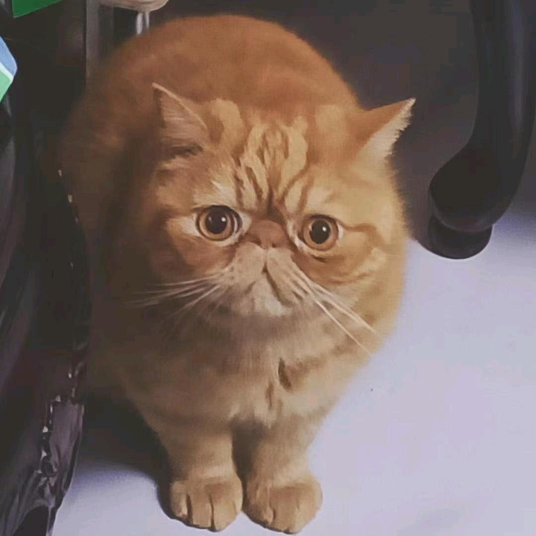 ❥ண浅玺