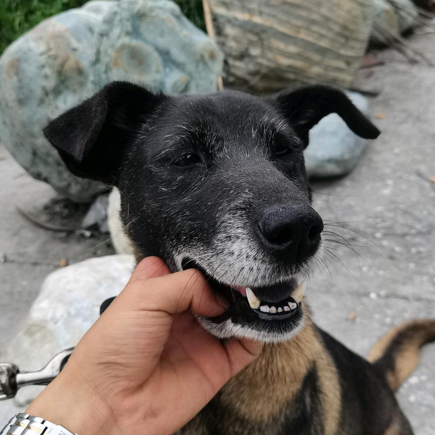 棉城户外（接代训）