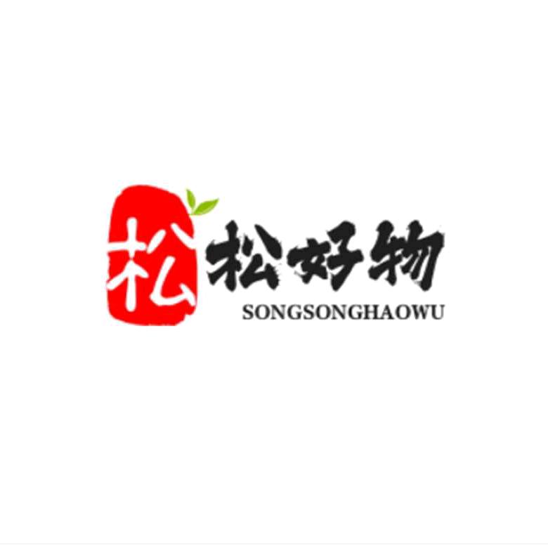松松晨跑