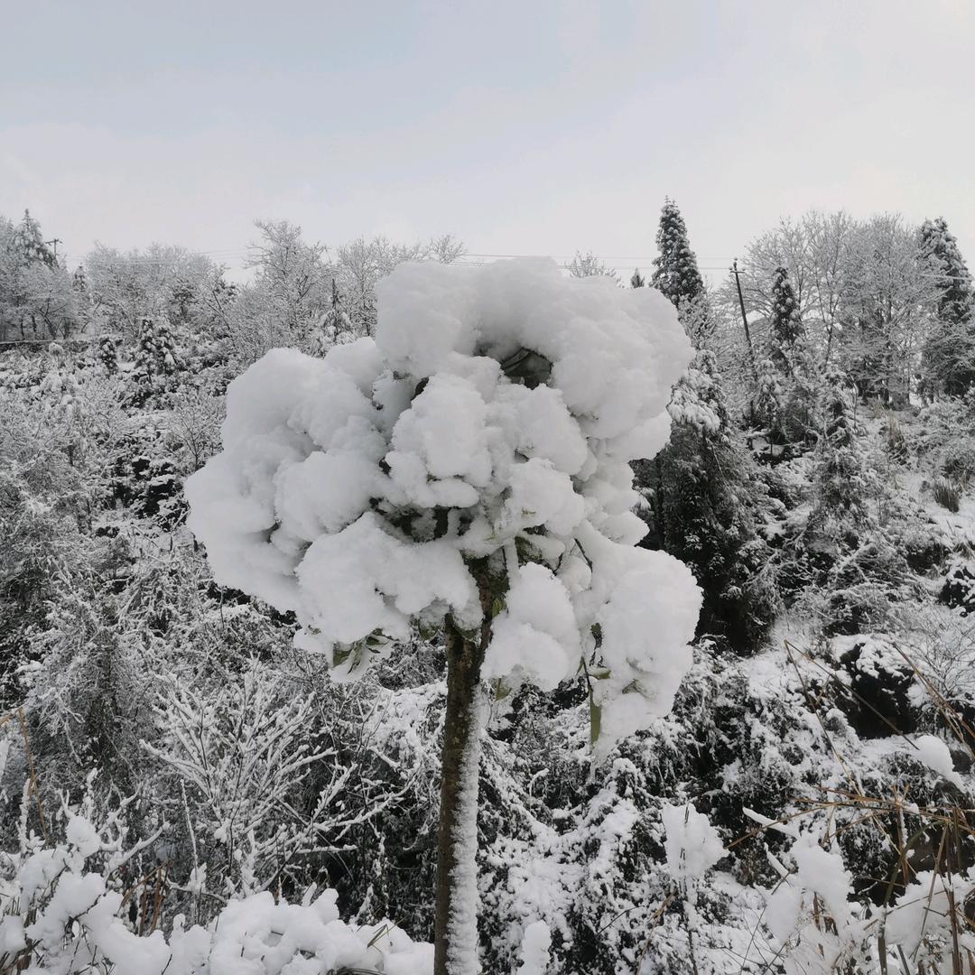 开心快乐就好🧨🧨