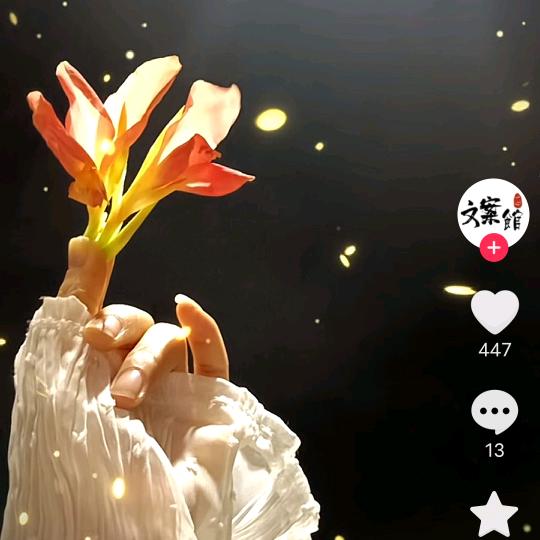 初心