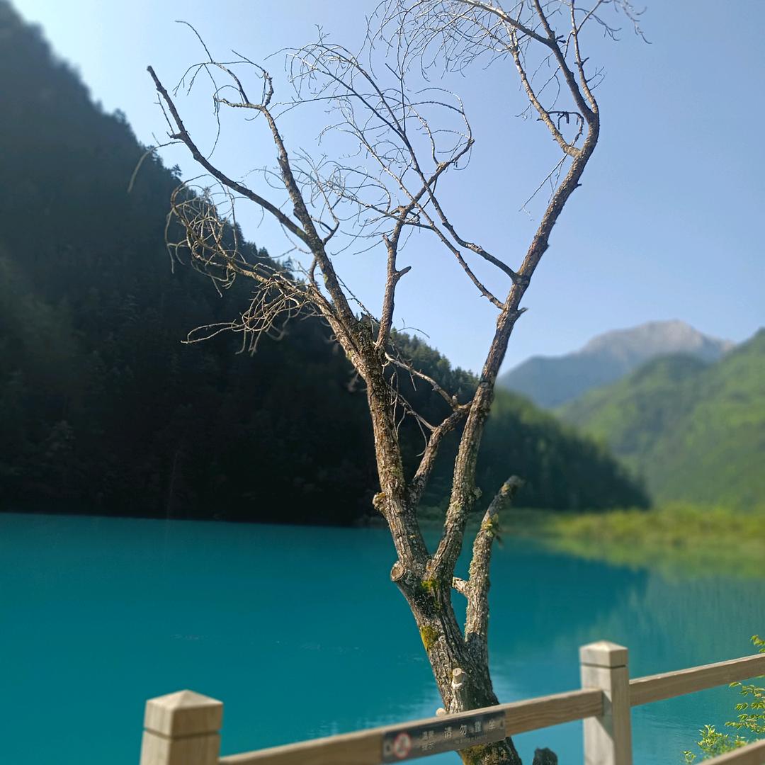 导游资格证考试刷题