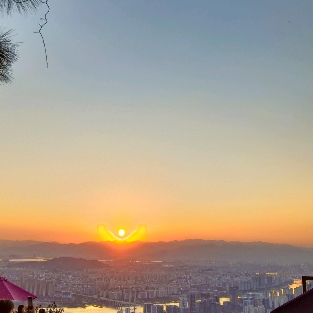 钟情于冰
