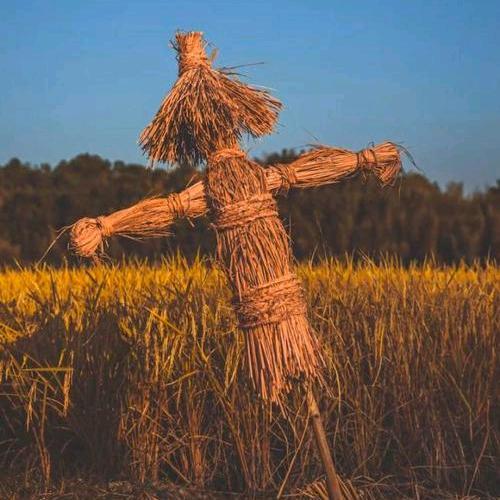 稻草人