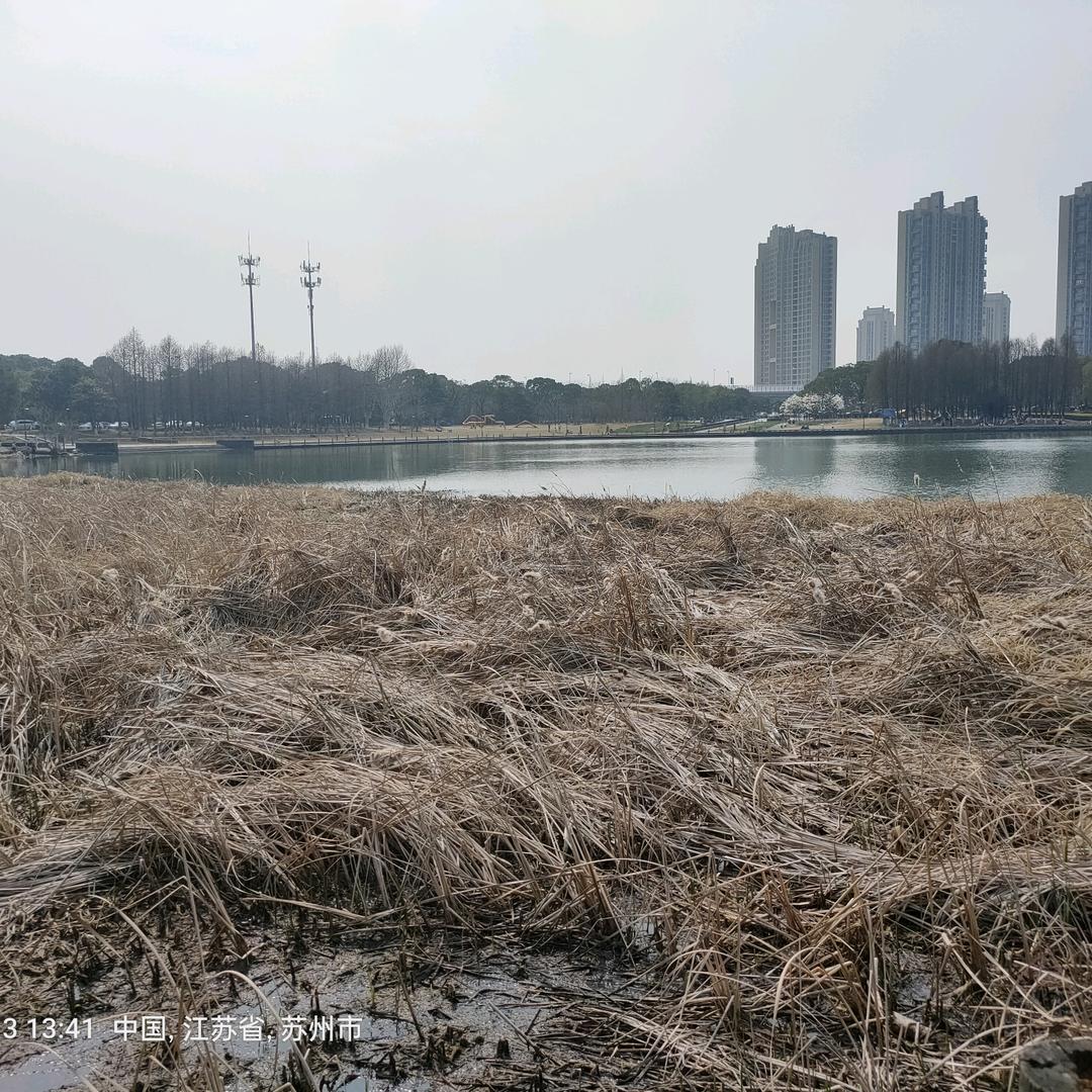 顺其自然