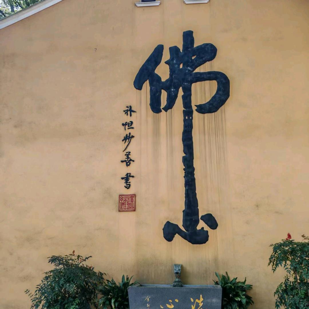 卡优小静