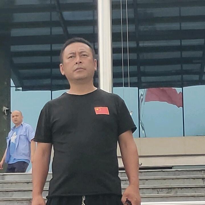刘流浪夜猫子