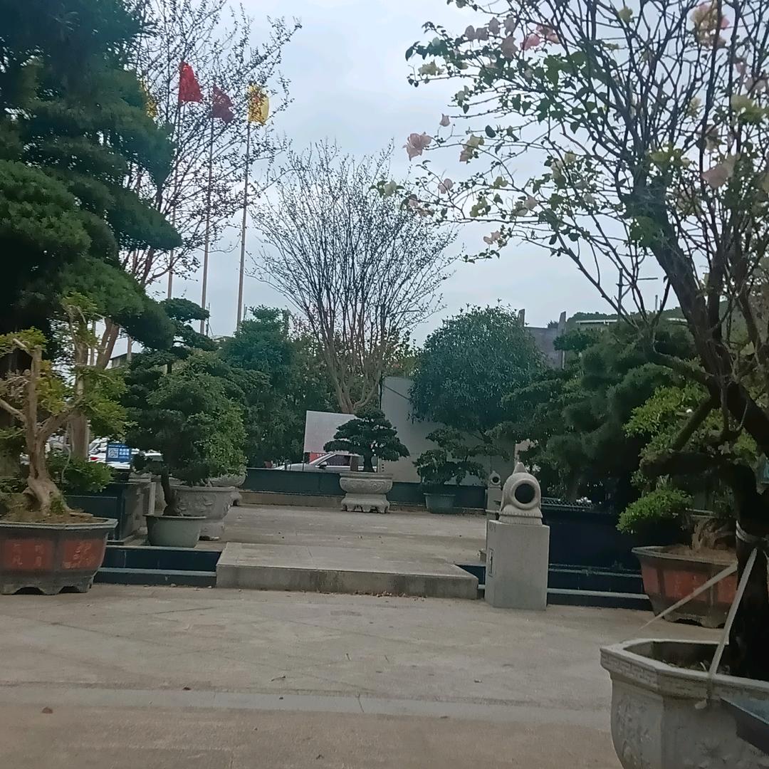 无所谓