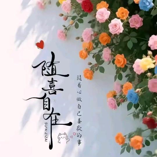 幸福的妈妈（1066）
