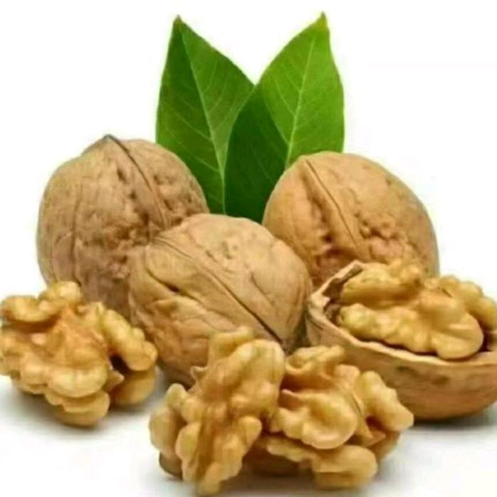 绿果果业农民专业合作社