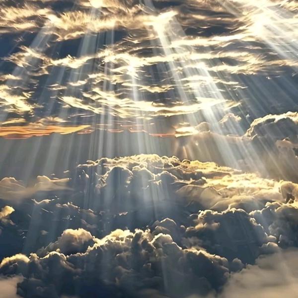 biubiubiu～(￣▽￣～)~