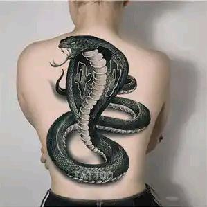 🐍陳风破浪ចេនហ្សាងប៉ូយ៉ា