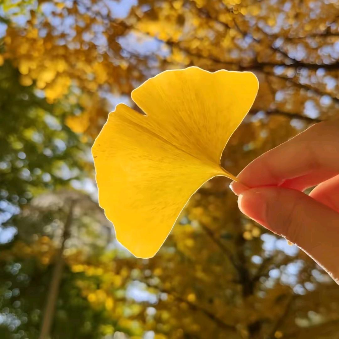 山东东勤园林绿化工程有限公司