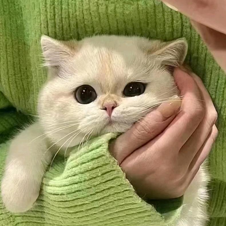 马华母婴优选
