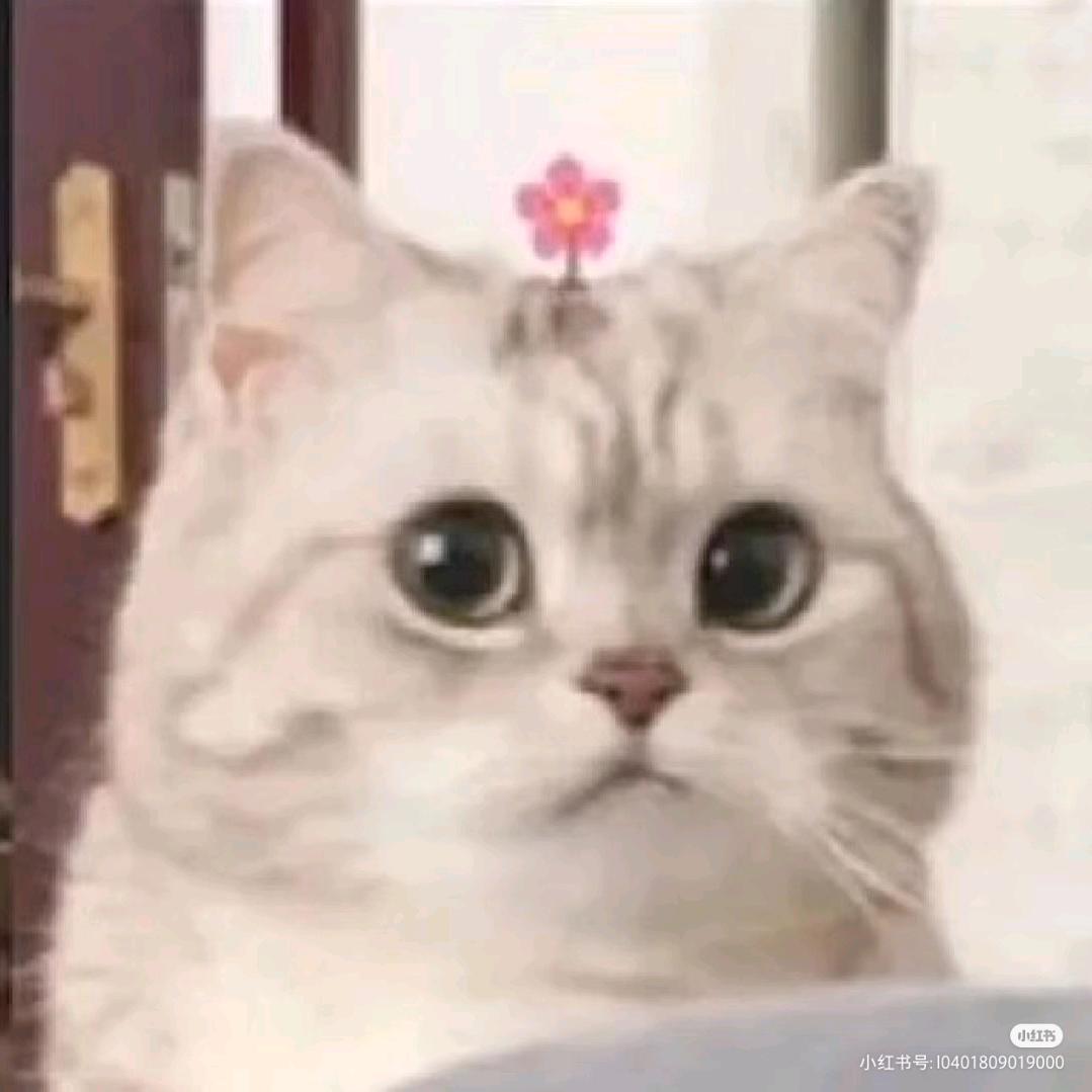 瑒.