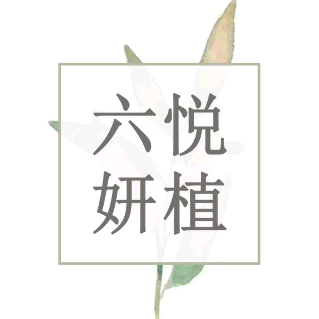 六悦妍植美妆店