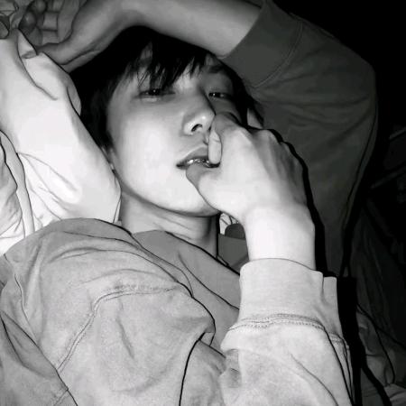 不知名笨蛋
