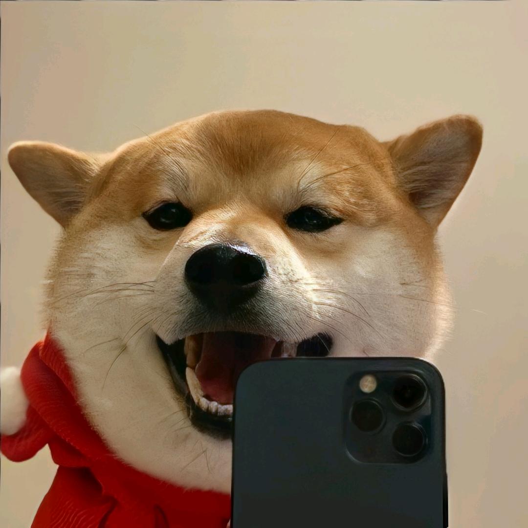 哇噻