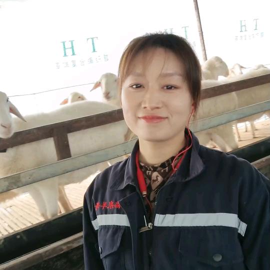 羊妞