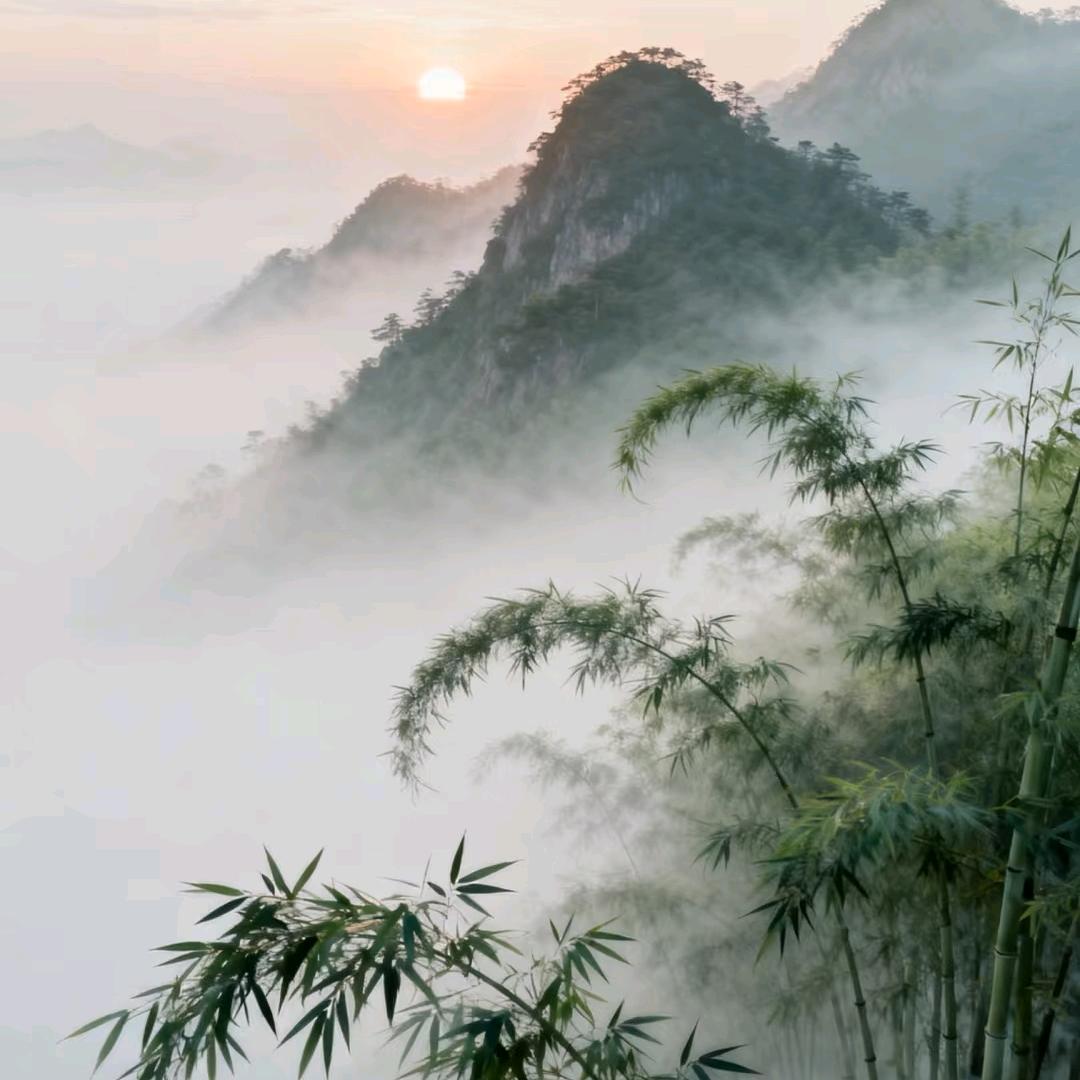 沐若清辰