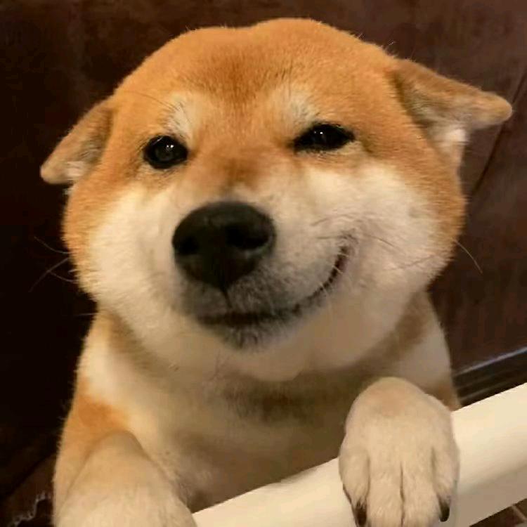 鱼c小波