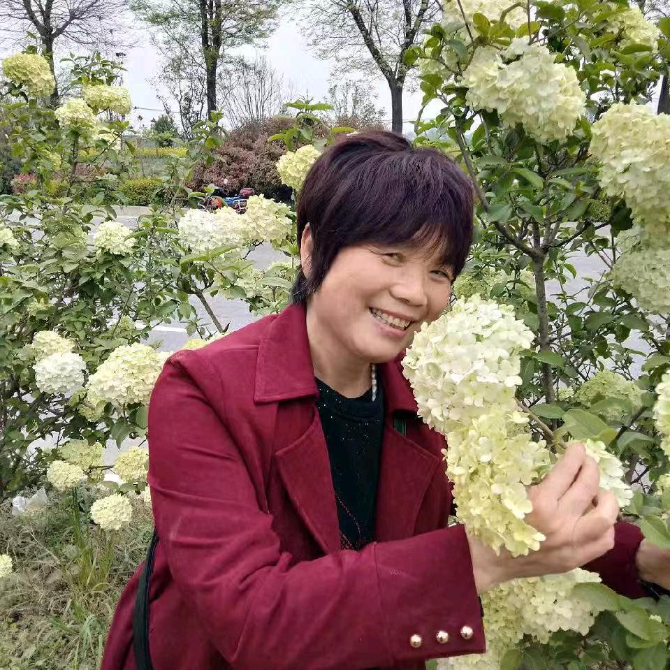 禾子奶奶