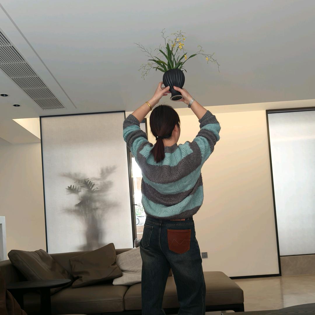 依林