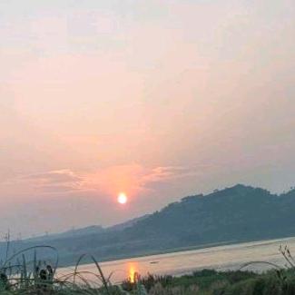 回笼村村花