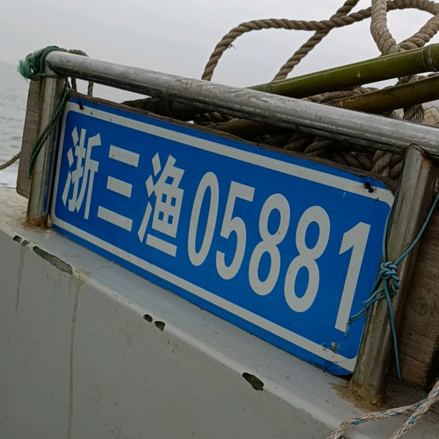 敏大大三门健跳小网海鲜