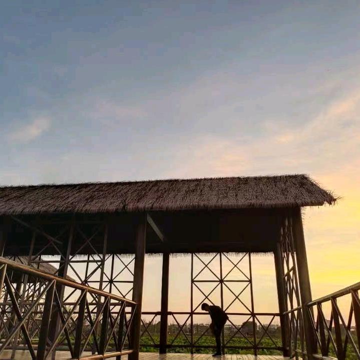 陌寒丿