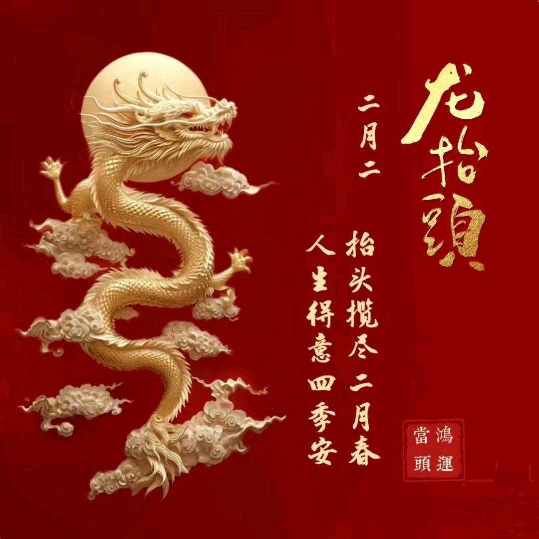 龙抬头看向苍茫大地