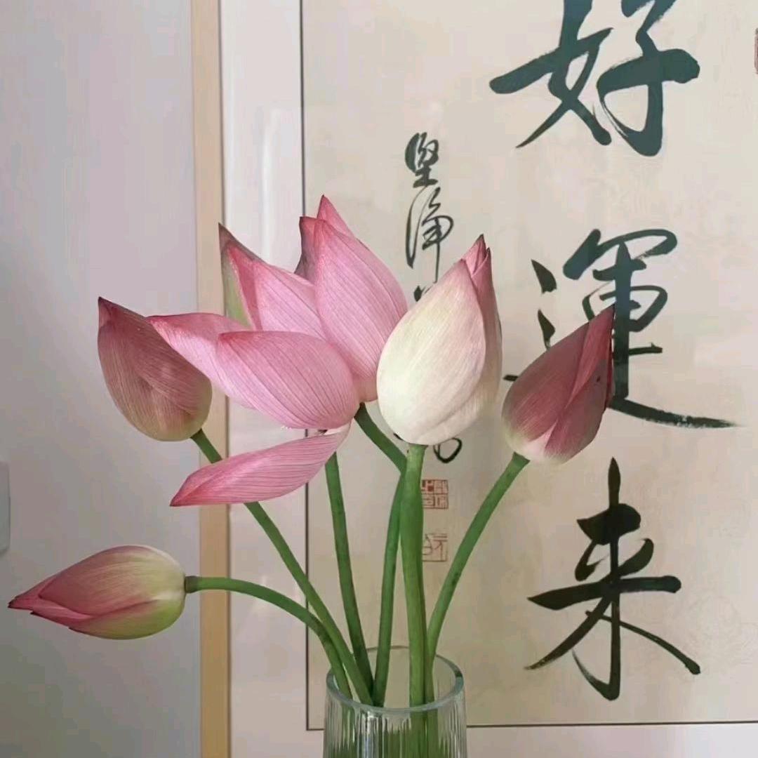 玲姐美容
