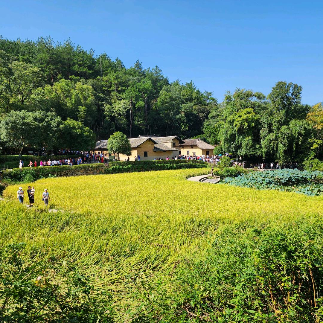 韶山阳光旅游专线