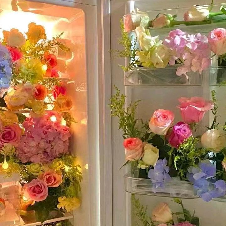 不离不弃 🌺🌺🌺🌺