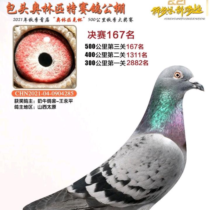 狼毒花