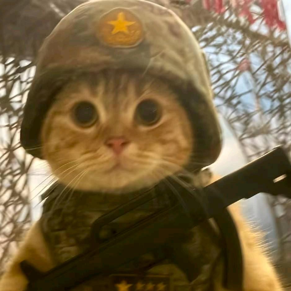 贴地飞行的小李.