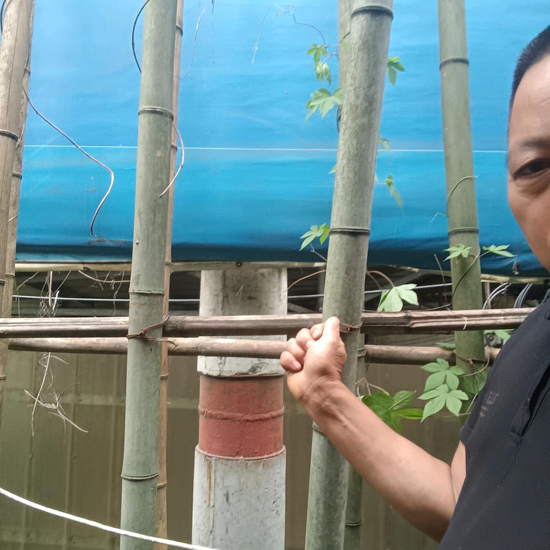 天意