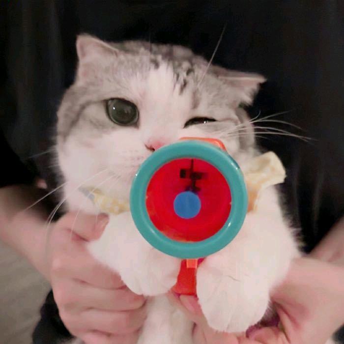 什么都贪