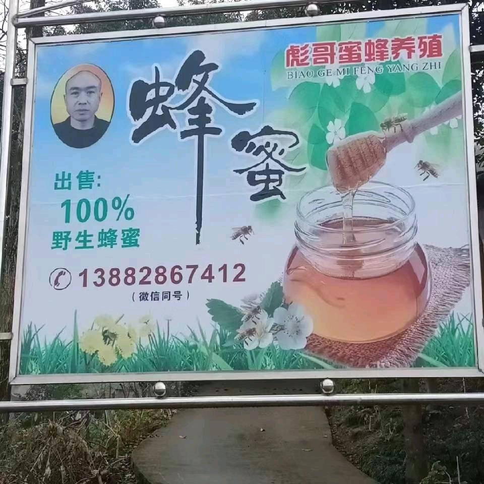 彪哥中蜂养殖