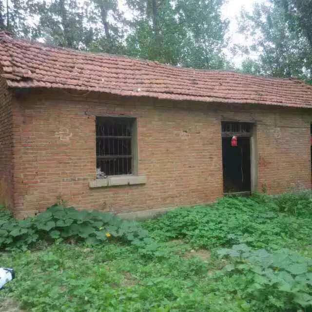 记事本🗒️🌹🌹🌹🌹